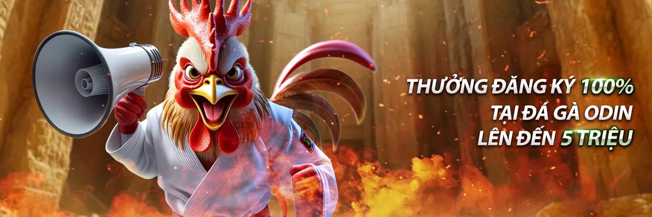 Hình ảnh chính hướng dẫn cá cược thể thao jun88